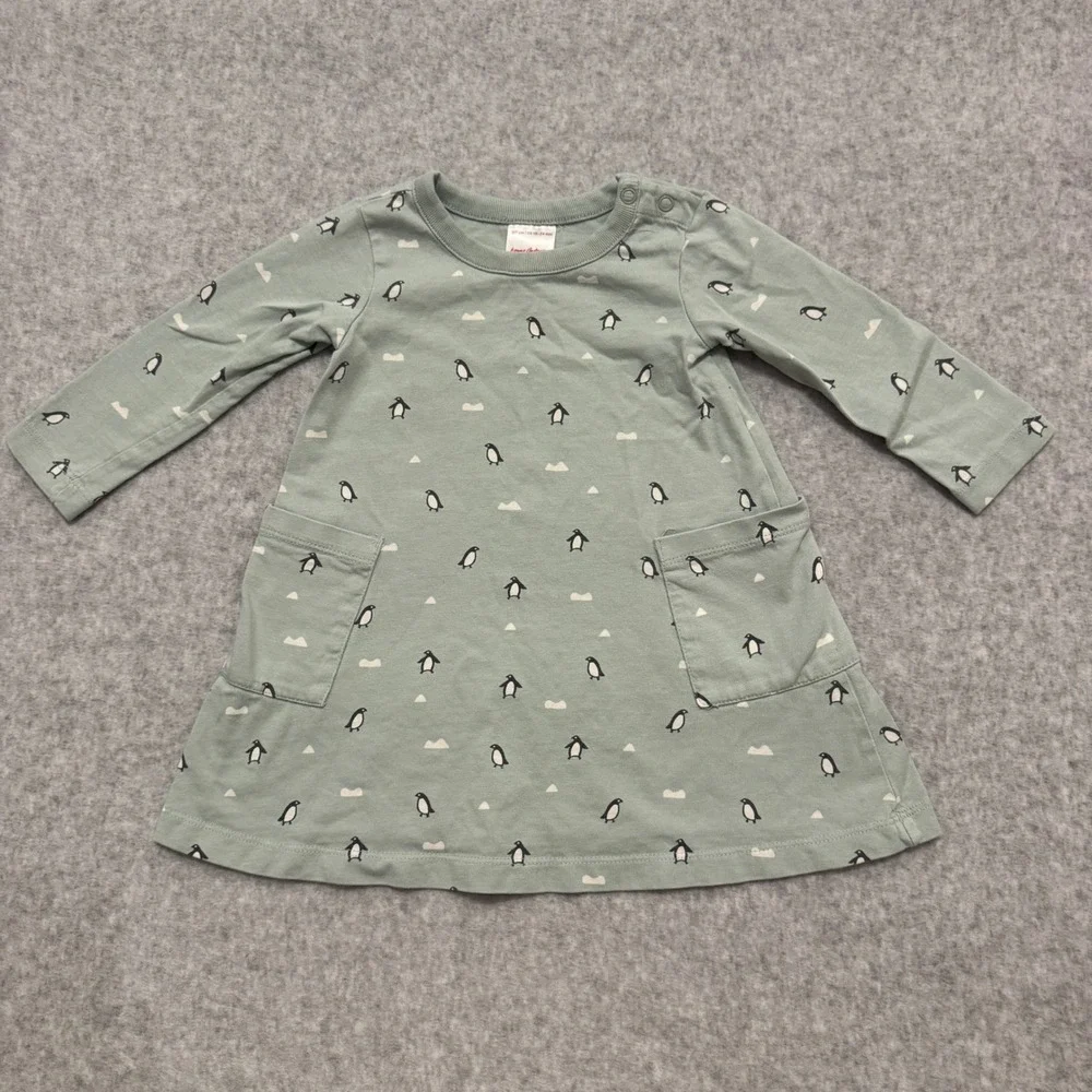 Hanna Andersson Penguin Print Long Sleeve Pocket Dress Sage Green 18-24 Months